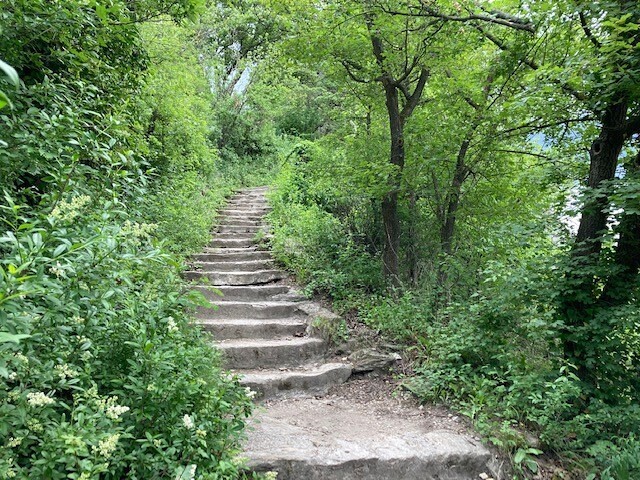 Marlies Prettenthaler-Heckel