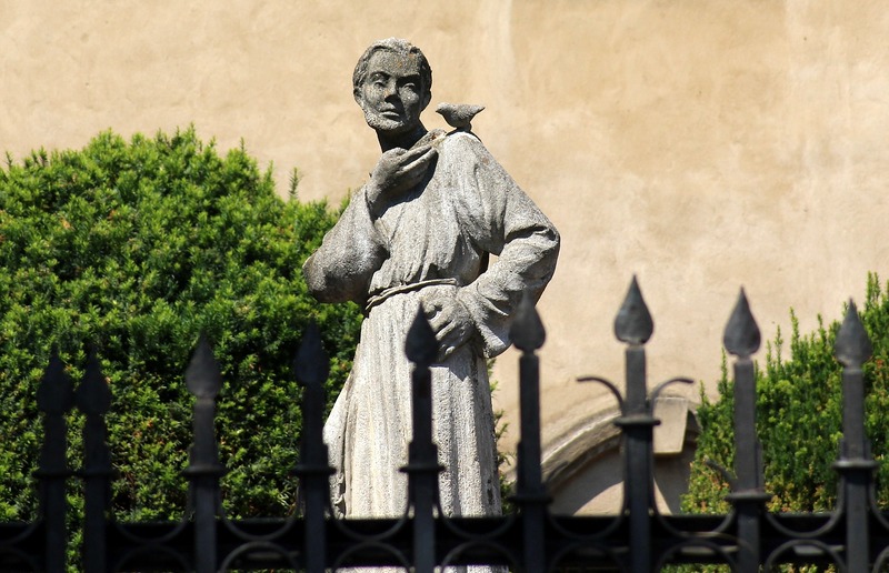 franz von assisi -3488364_alicja_pixabay Weil Franz von Assisi in vielen seiner Erzählungen und Predigten die Gleichheit von Mensch und Tier erwähnte, gilt er als einer der ersten Tierschützer in der Geschichte.