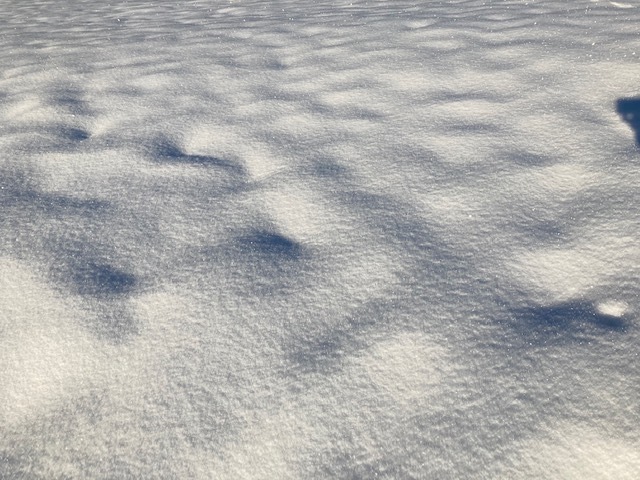 Marlies Prettenthaler-Heckel