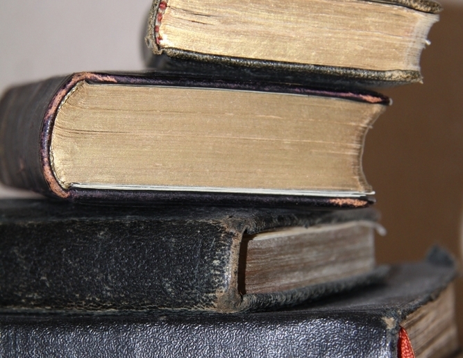 Copyright: Digitalfotovision